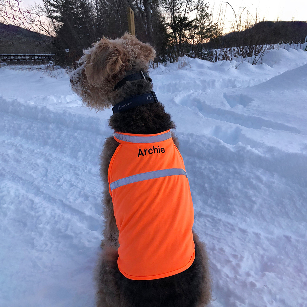 Personalized Pet Reflective Safety Bandana & Vest Set | BKPet163