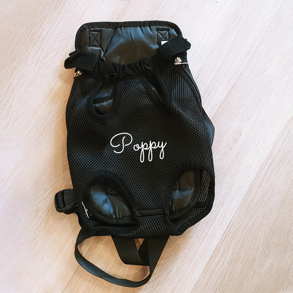 Personalized Dog Front Facing Mesh Pet Carrier | BKPet187