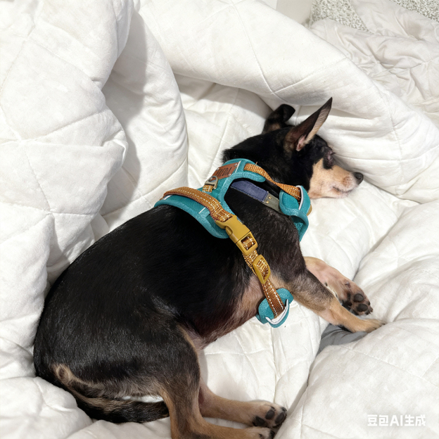 Personalized Night Reflective Luxury Puppy Harness | BKPet237