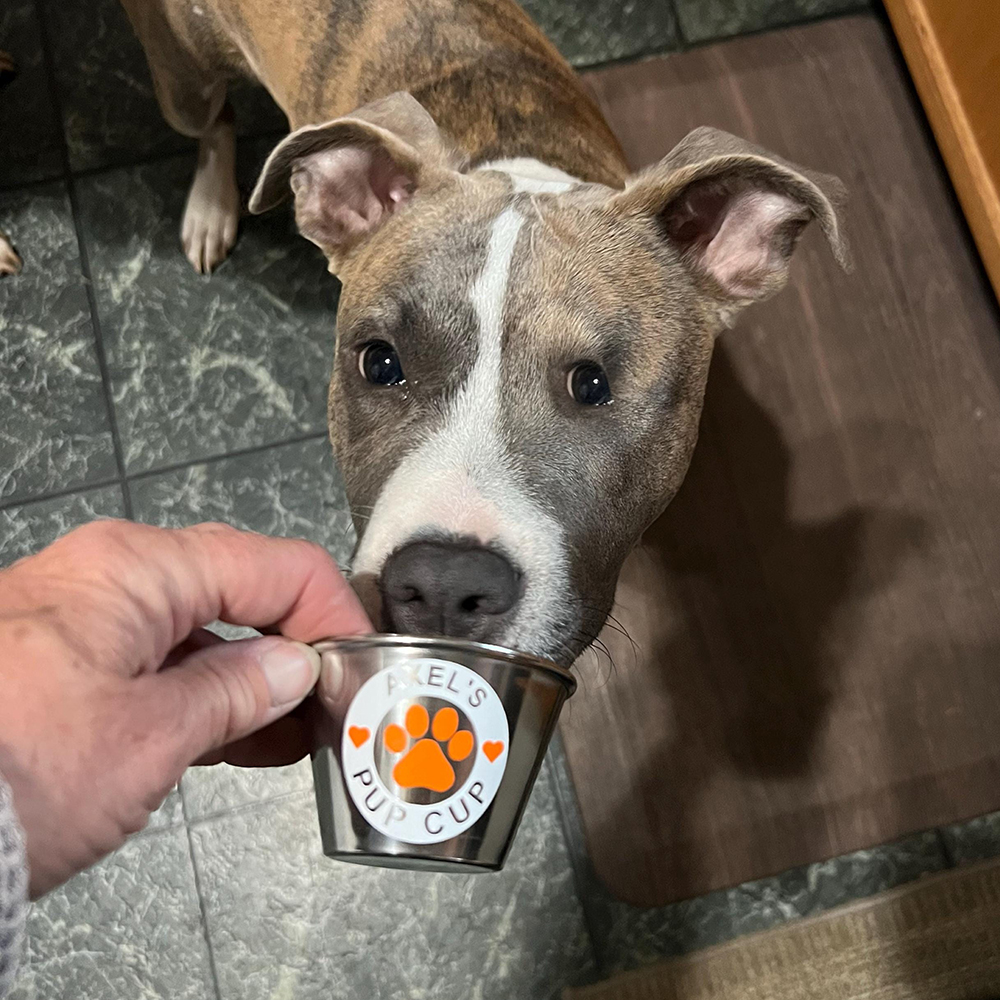 Personalized Valentine’s Day Pet Gift Pup Cup Mug | BKPet285