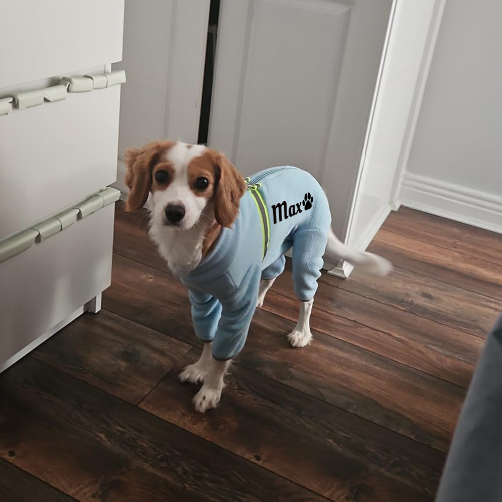 Personalized Pet Winter Warm Fleece Long Sleeve Sweater | BKPet312