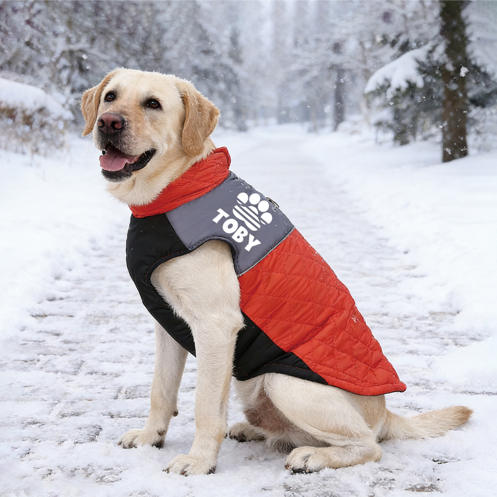 Personalized Pet Winter Warm Windproof Puffer Jacket | BKPet348