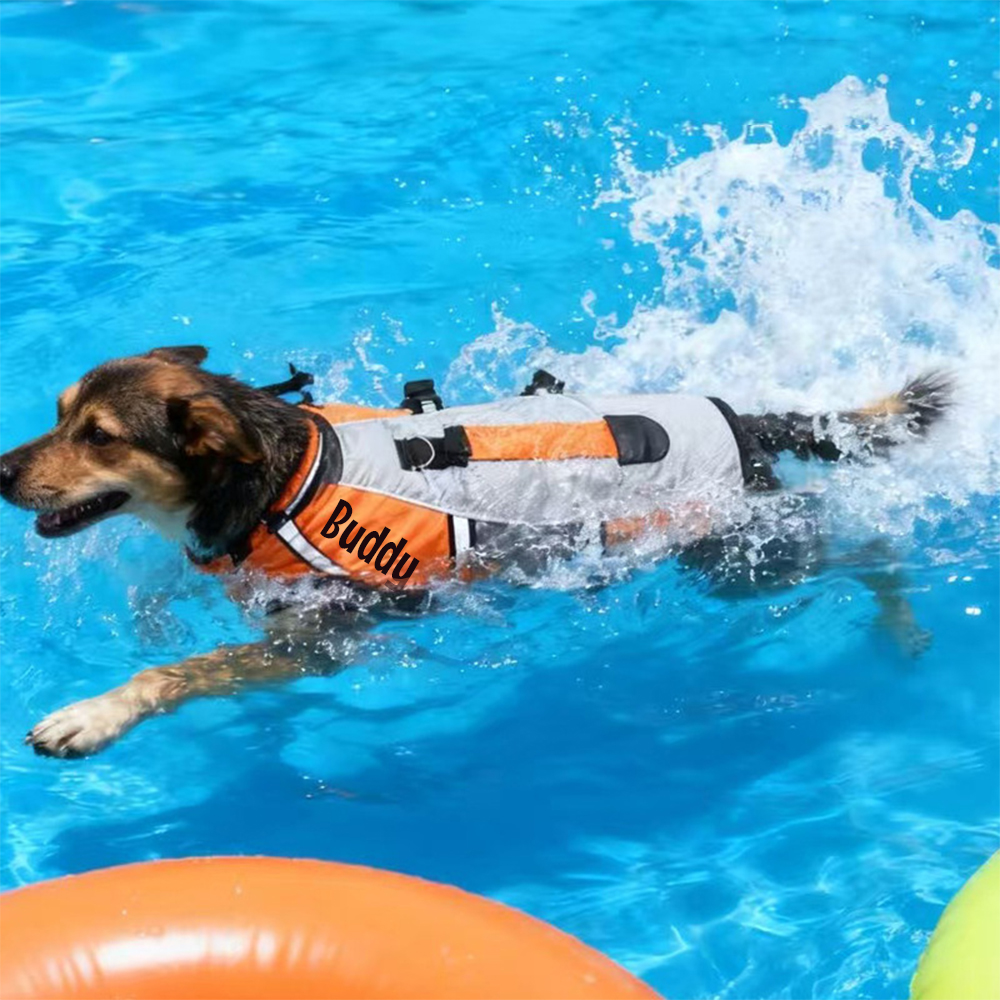 Personalized Pet Swimming Buoyancy Reflective Safety Shark Vest | BKPet406