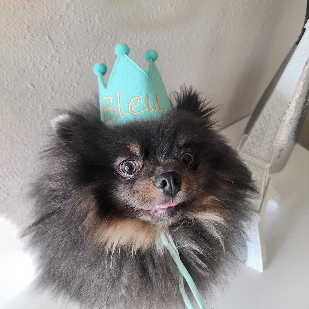 Personalized Embroidered Pet Felt Birthday Crown | BKPet443
