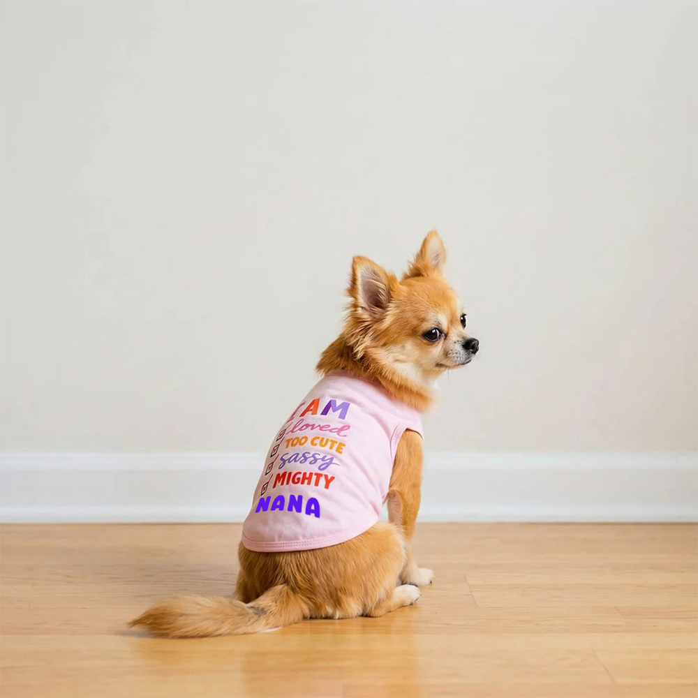 Personalized I AM Loved Checklist Pet Shirt | MNCloth208