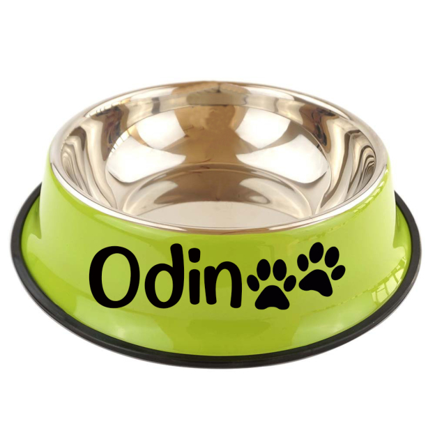 Personalized Pet Stainless Steel Dog Bowl  | BKPet137
