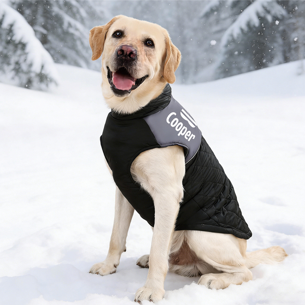 Personalized Pet Winter Warm Windproof Puffer Jacket | BKPet348