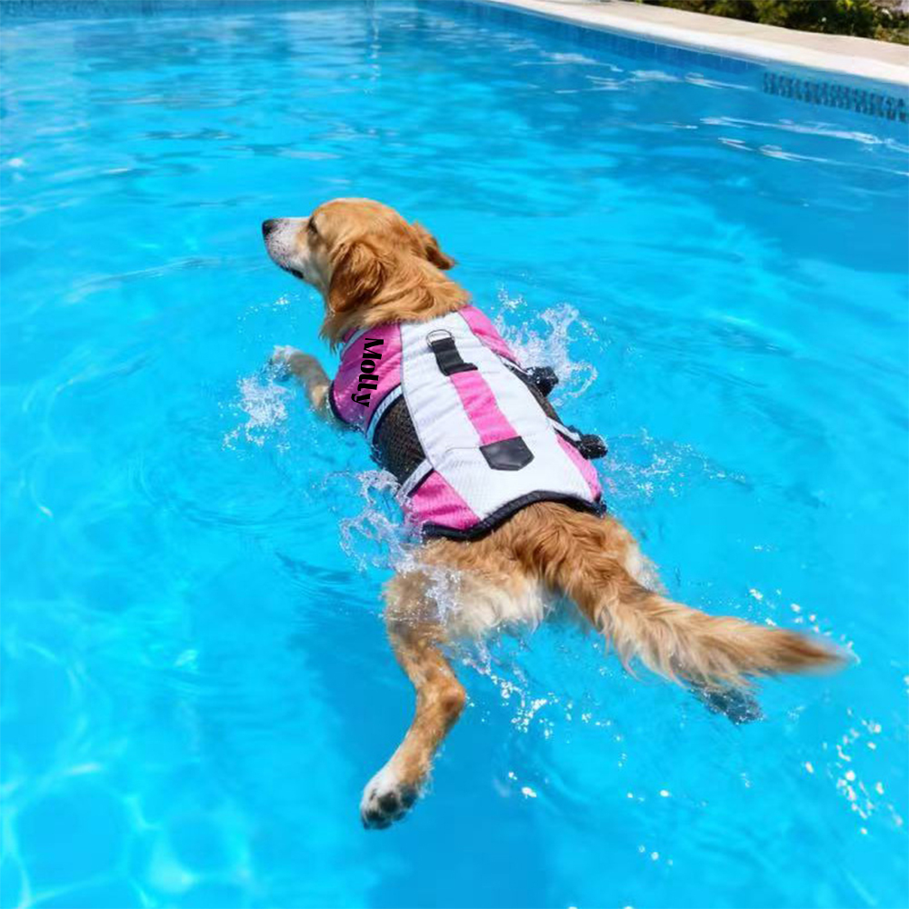 Personalized Pet Swimming Buoyancy Reflective Safety Shark Vest | BKPet406