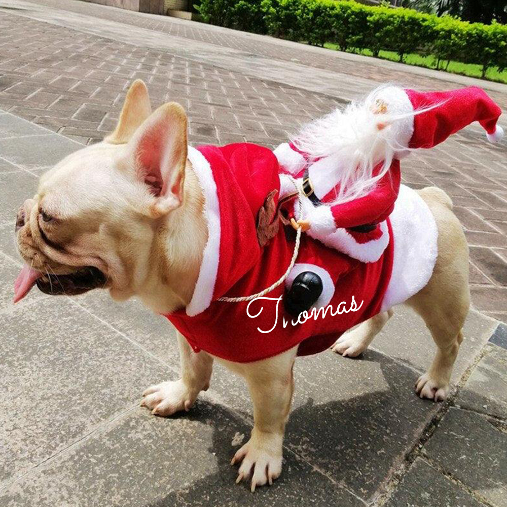 Personalized Christmas Santa Pet Riding Clothes | BKPet96