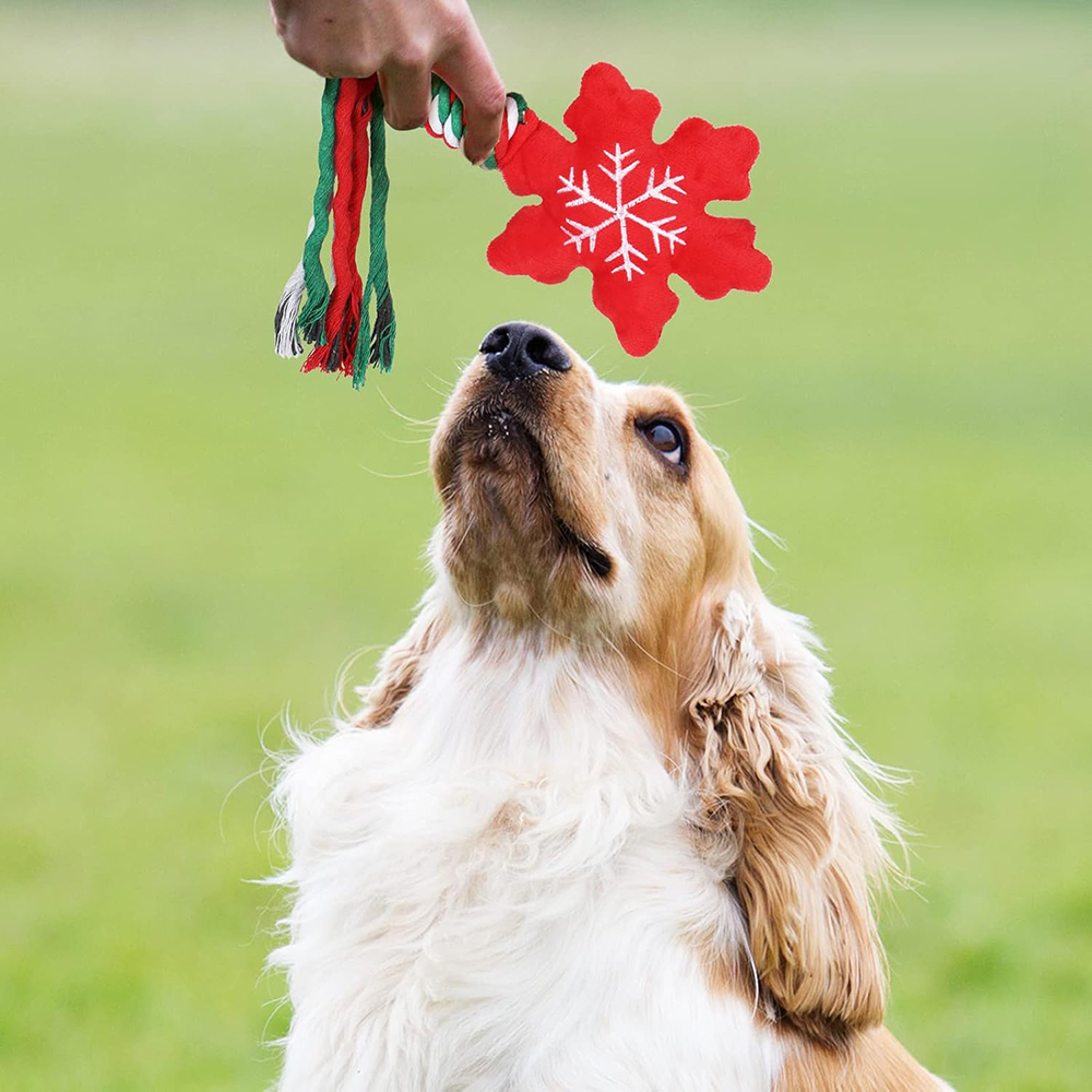 Personalized Christmas Pet Squeaky Chew Toy | MCGift111