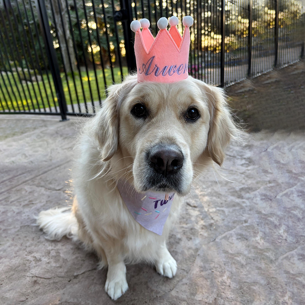 Personalized Embroidered Pet Felt Birthday Crown | BKPet443