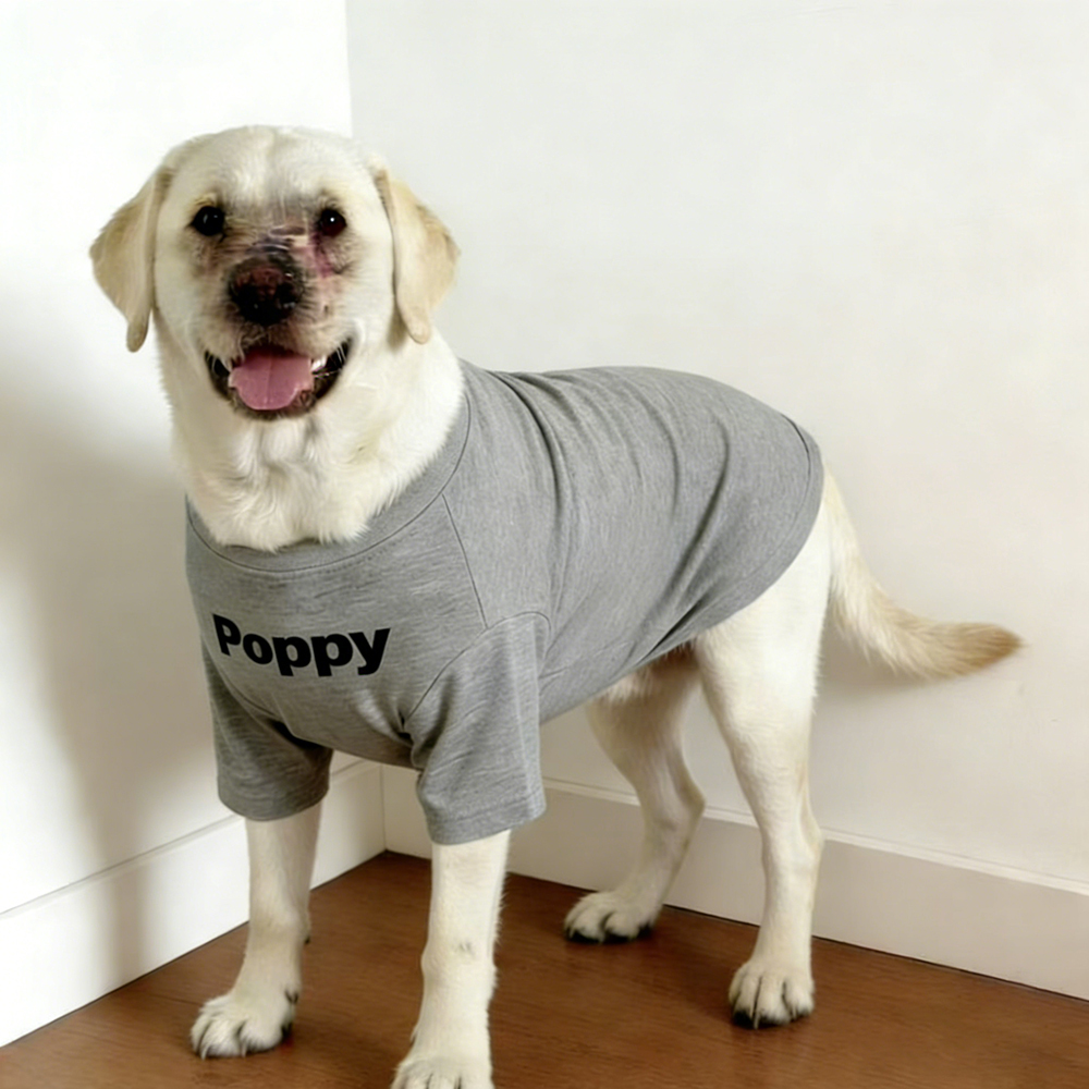 Personalized Chicken Nuggets Large Size Soft Pet Tee | BKPet447