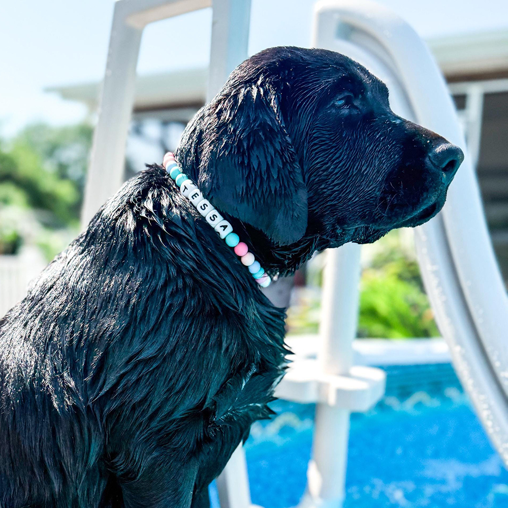 Personalized Handmade Beaded Adjustable Buckle Dog Collar | BKPet221