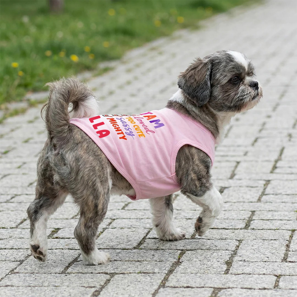 Personalized I AM Loved Checklist Pet Shirt | MNCloth208