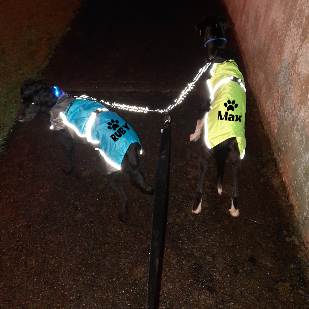 Personalized Pet Large Size Waterproof Raincoat Jacket | BKPet414