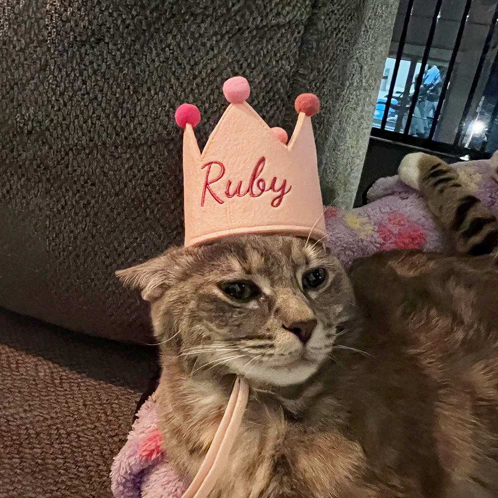 Personalized Embroidered Pet Felt Birthday Crown | BKPet443