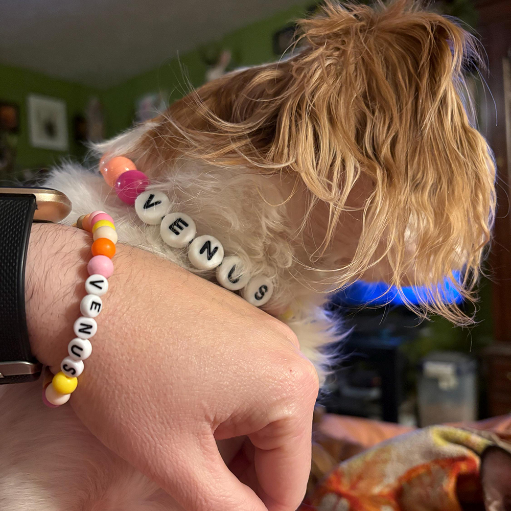 Personalized Handmade Matching Pet Necklace & Owner Bracelet | BKPet456
