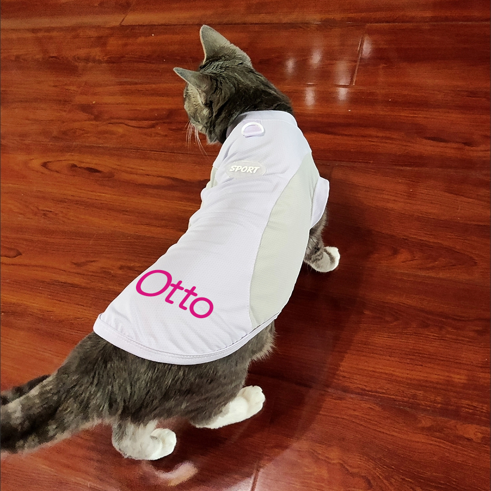 Personalized Pet Summer Cooling Quick-Drying Vest | BKPet155