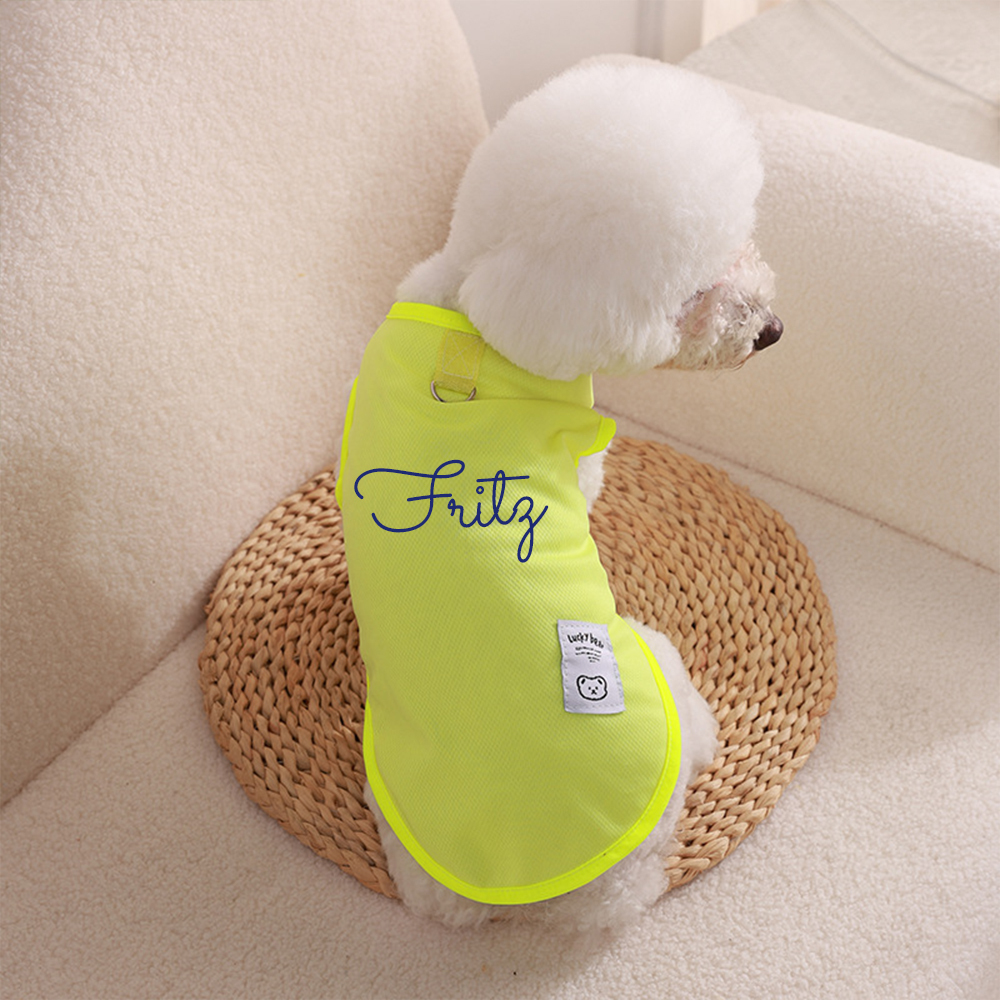 Personalized Colourful Pet Summer Cool Mesh Vest | BKPet173