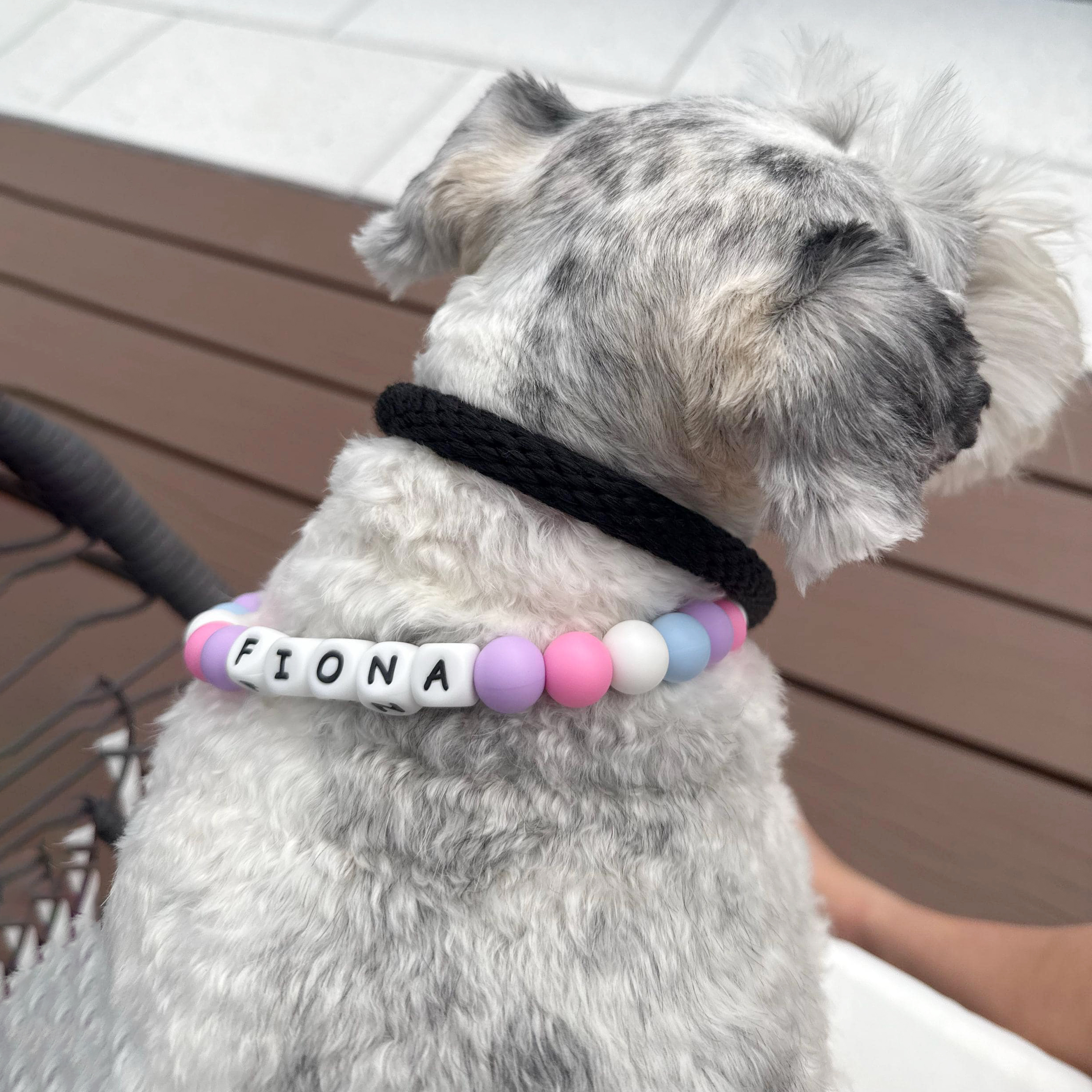 Personalized Handmade Beaded Adjustable Buckle Dog Collar | BKPet221