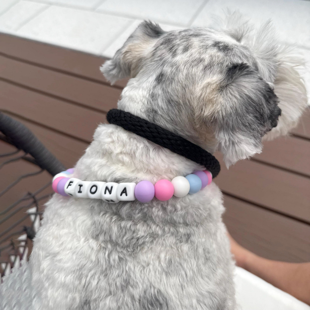 Personalized Handmade Beaded Adjustable Buckle Dog Collar | BKPet221