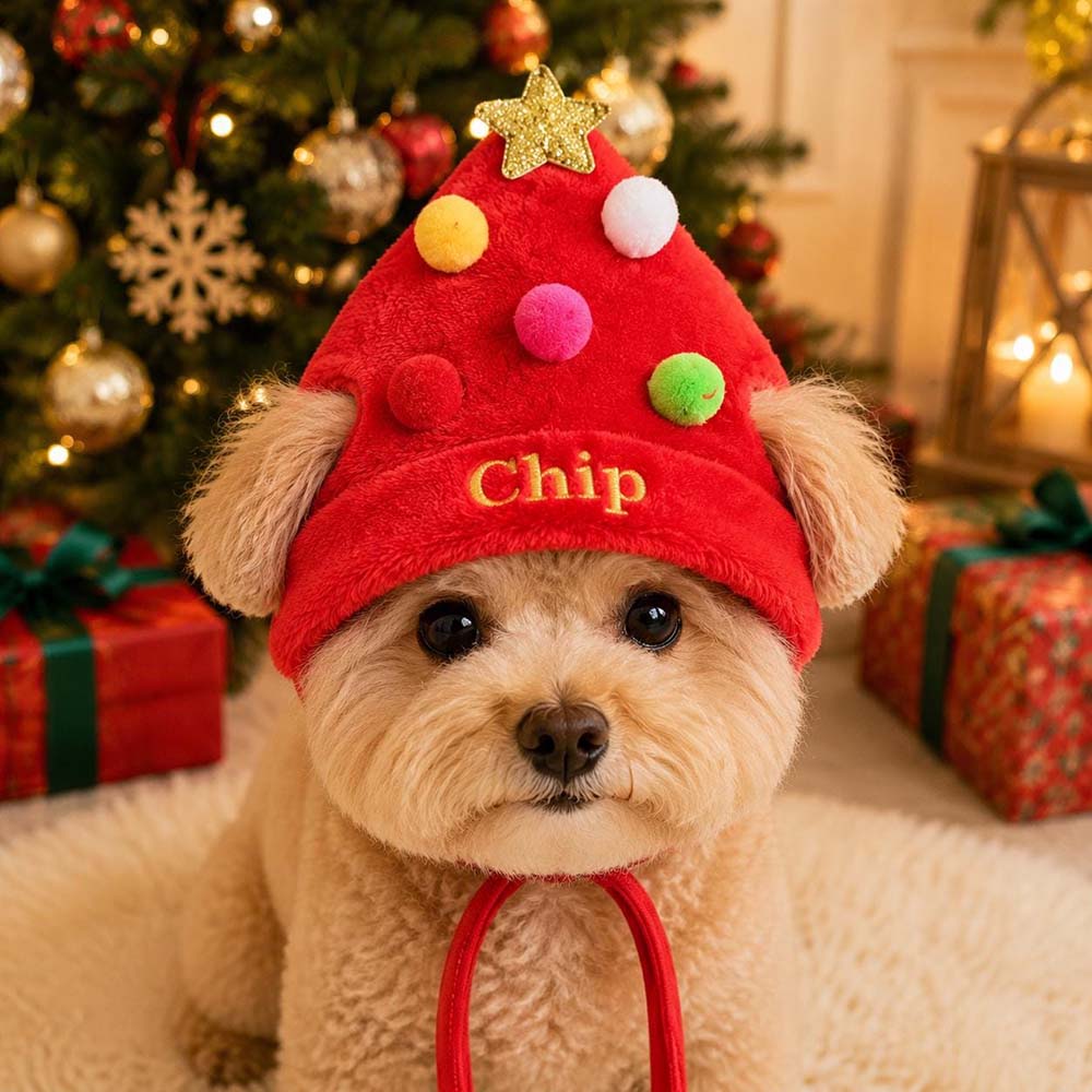 Personalized Embroidered Christmas Pets Hat | MCGift410