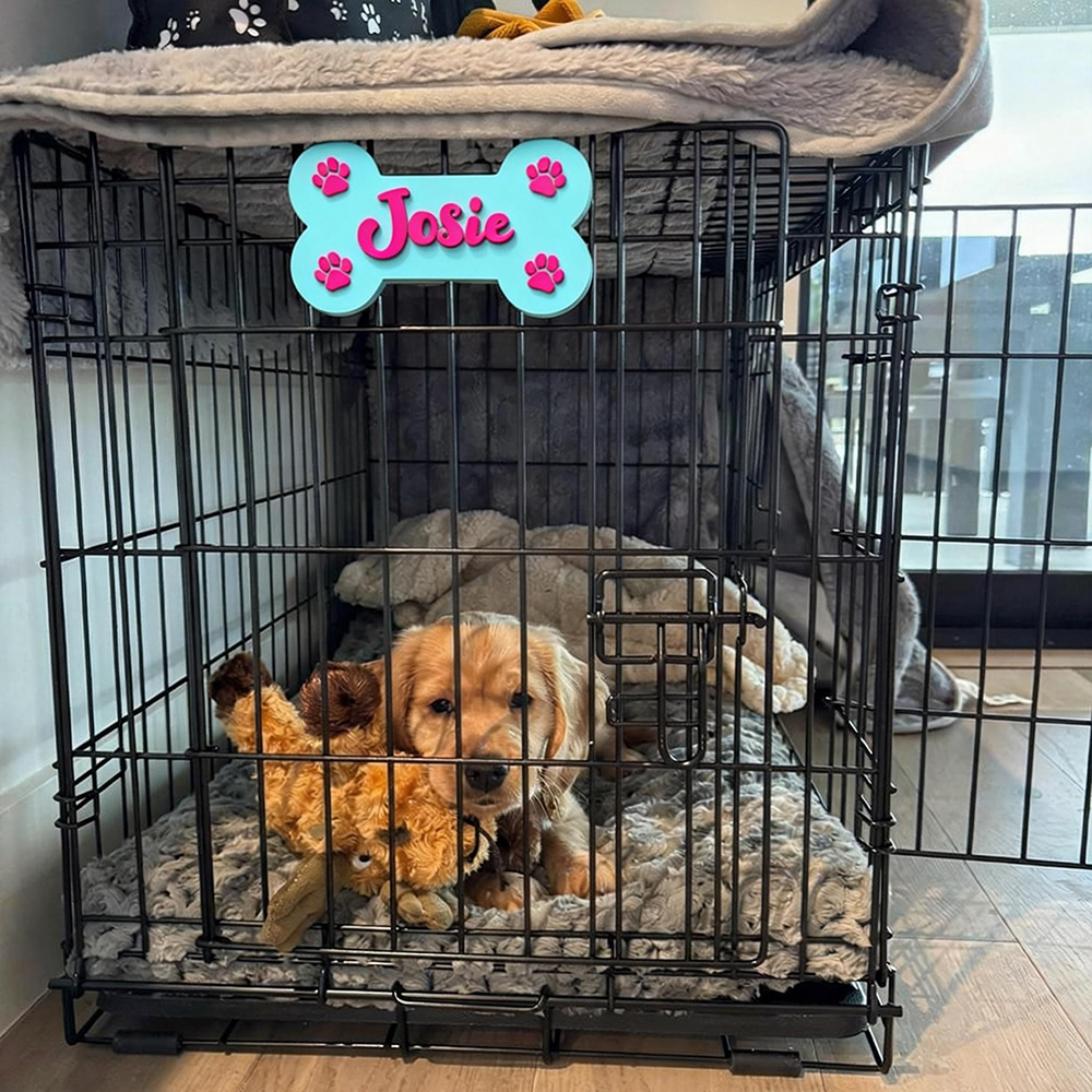 Personalized Dog Paw Name Crate Sign | BKPet426