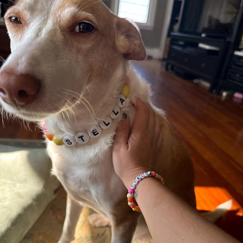 Personalized Handmade Matching Pet Necklace & Owner Bracelet | BKPet456
