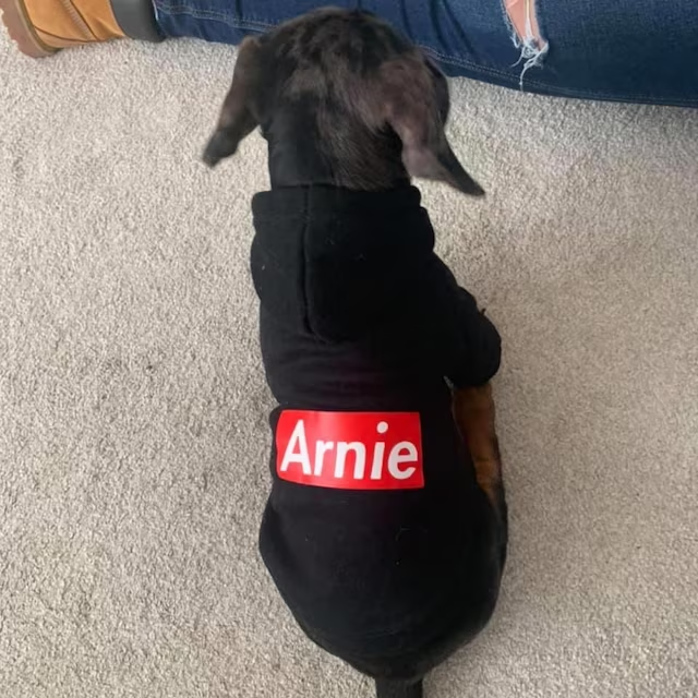Personalized Warm Puppy Hoodie for Comfort & Unique | BKPet32