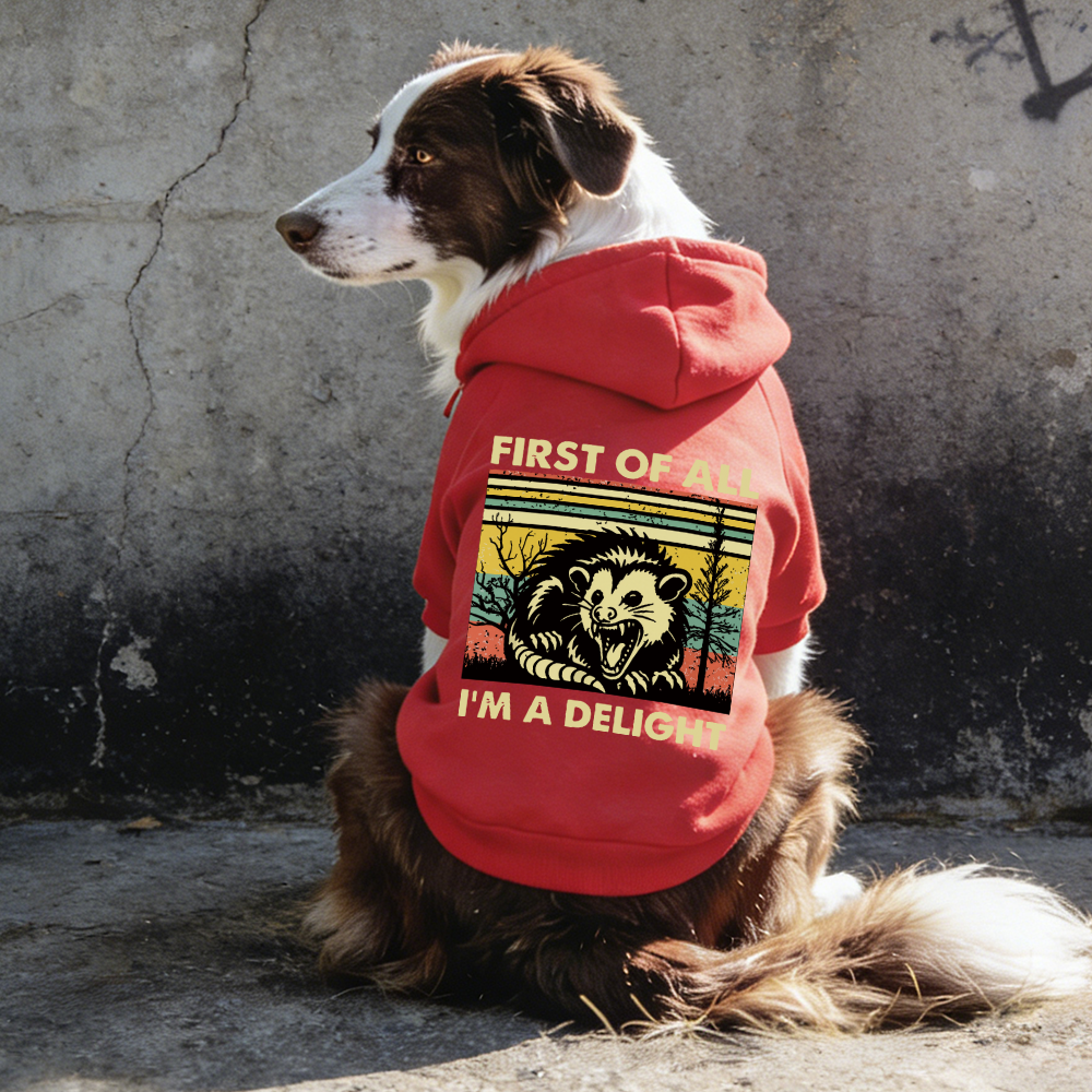 FIRST OF ALL I'M A DELIGHT Puppy Hoodie | BKPet331
