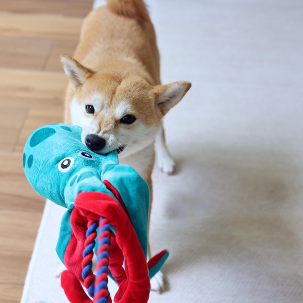 Personalized Handmade Pet Squeaky Interactive Chew Toy | BKPet172