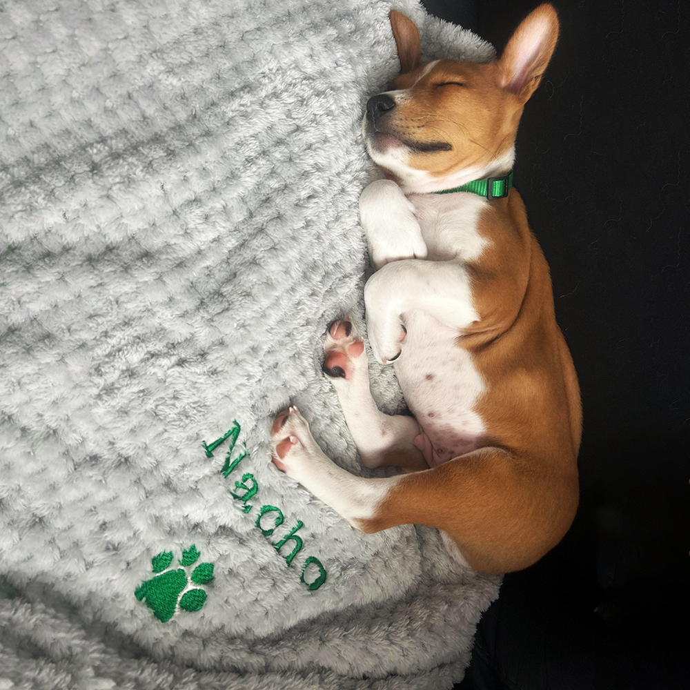 Personalized Embroidered Pet Soft Waffle Blanket | BKPet197