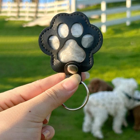 Personalized Pet Fur Storage Memorial Keychain | BKPet253