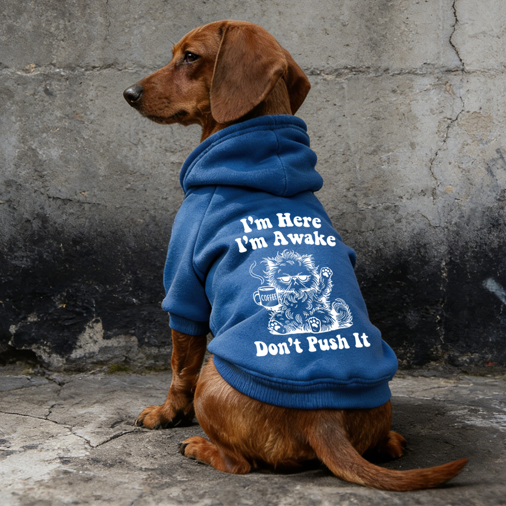 I'M HERE I'M AWAKE DON'T PUSH IT Puppy Hoodie | BKPet328