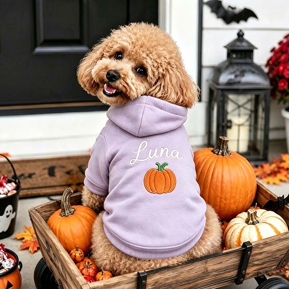 Personalized Embroidered Dog Hoodie with Halloween Icon | MNHalloween23