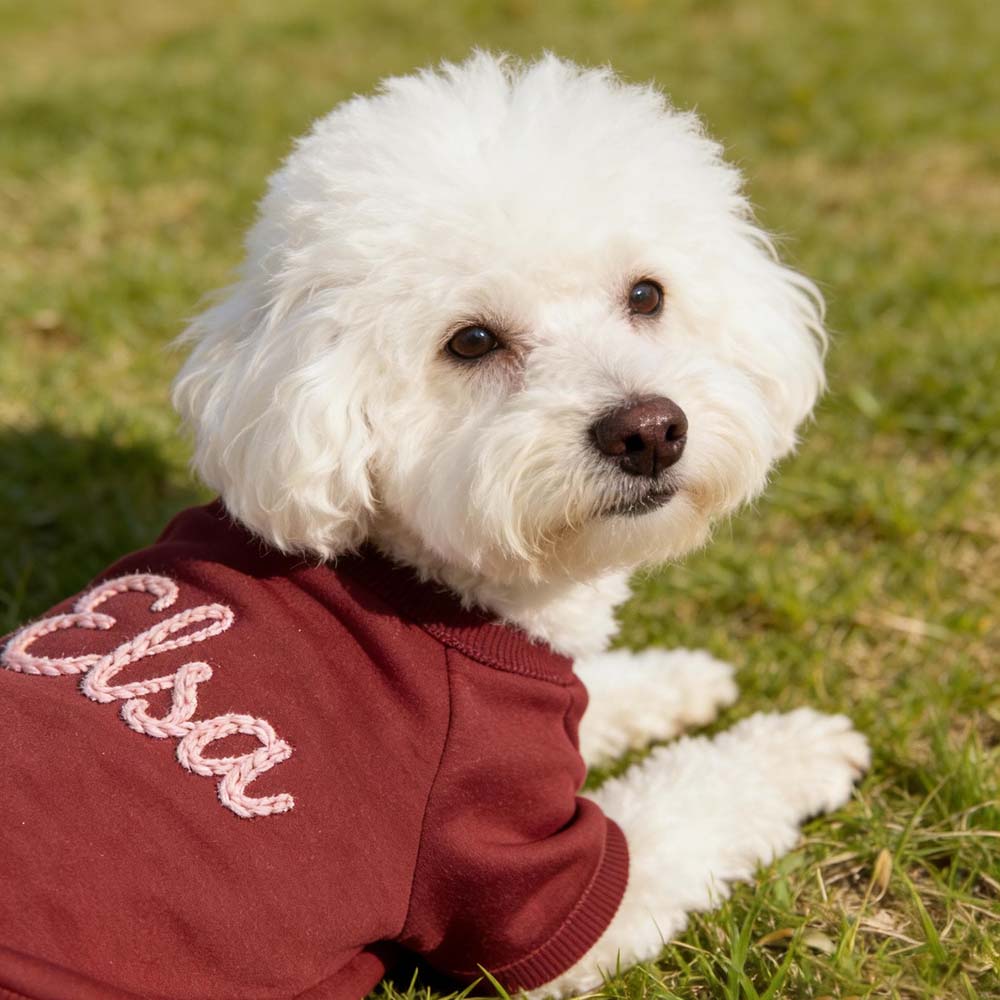 Personalized Hand Embroidered Puppy Hoodless Sweatshirt | BKPet590