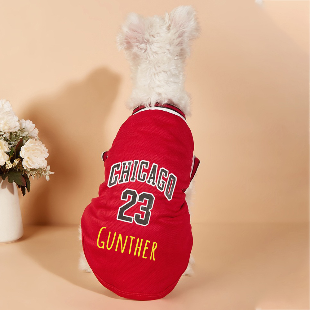Personalized Pet Basketball Breathable Sport Jersey | BKPet169