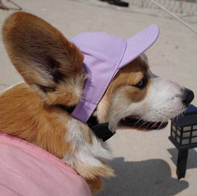 Personalized Embroidery Pet Adjustable Baseball Cap | BKPet182