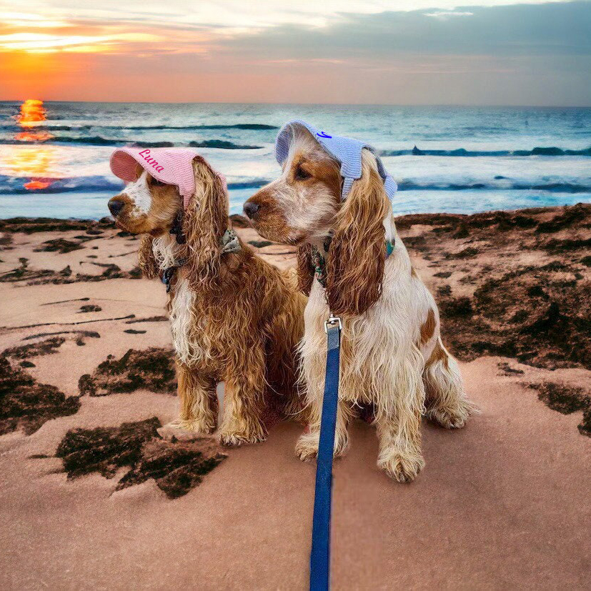 Personalized Corduroy Adjustable Pet Pet Baseball Cap | BKPet184