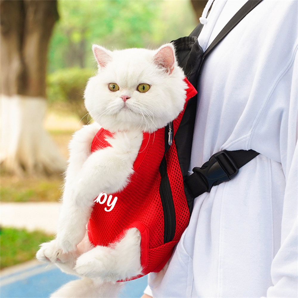 Personalized Dog Front Facing Mesh Pet Carrier | BKPet187