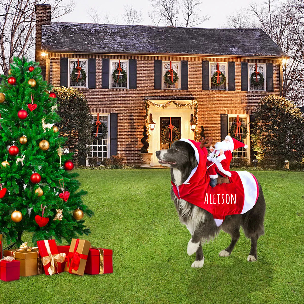 Personalized Christmas Santa Pet Riding Clothes | BKPet96