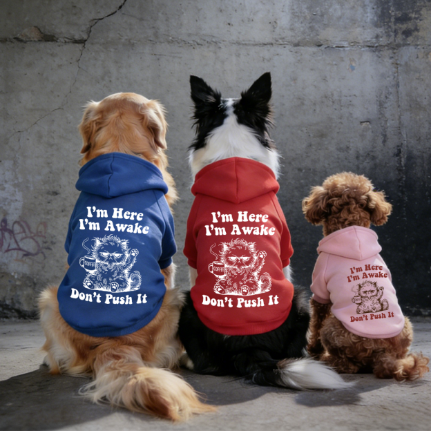 I'M HERE I'M AWAKE DON'T PUSH IT Puppy Hoodie | BKPet328
