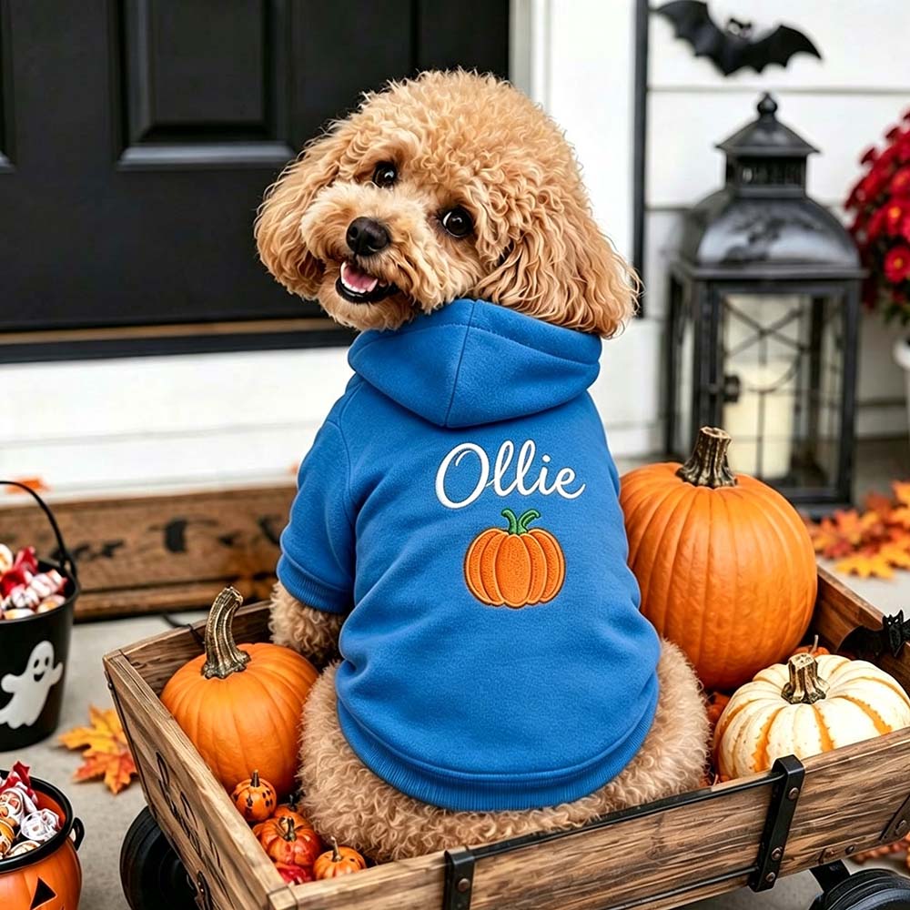 Personalized Embroidered Dog Hoodie with Halloween Icon | MNHalloween23