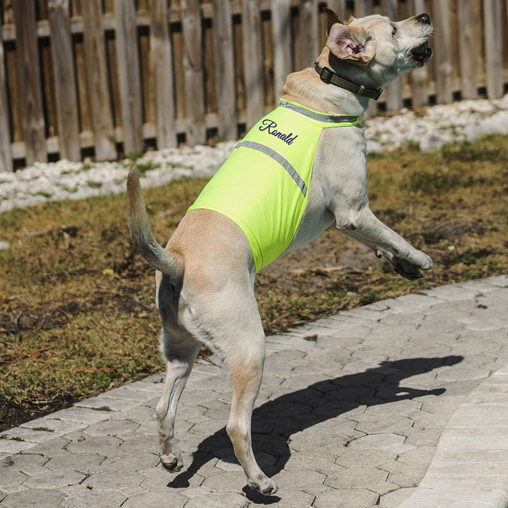 Personalized Pet Reflective Safety Bandana & Vest Set | BKPet163