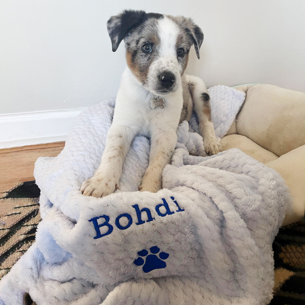 Personalized Embroidered Pet Soft Waffle Blanket | BKPet197