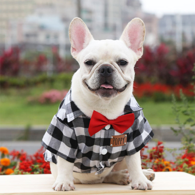 Personalized Pet Leather Patch Grid Patterned Necktie Shirt | BKPet224