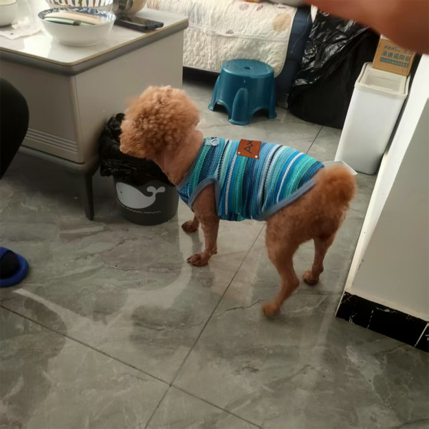 Personalized Breathable Pet Summer Cool Mesh Vest | BKPet191