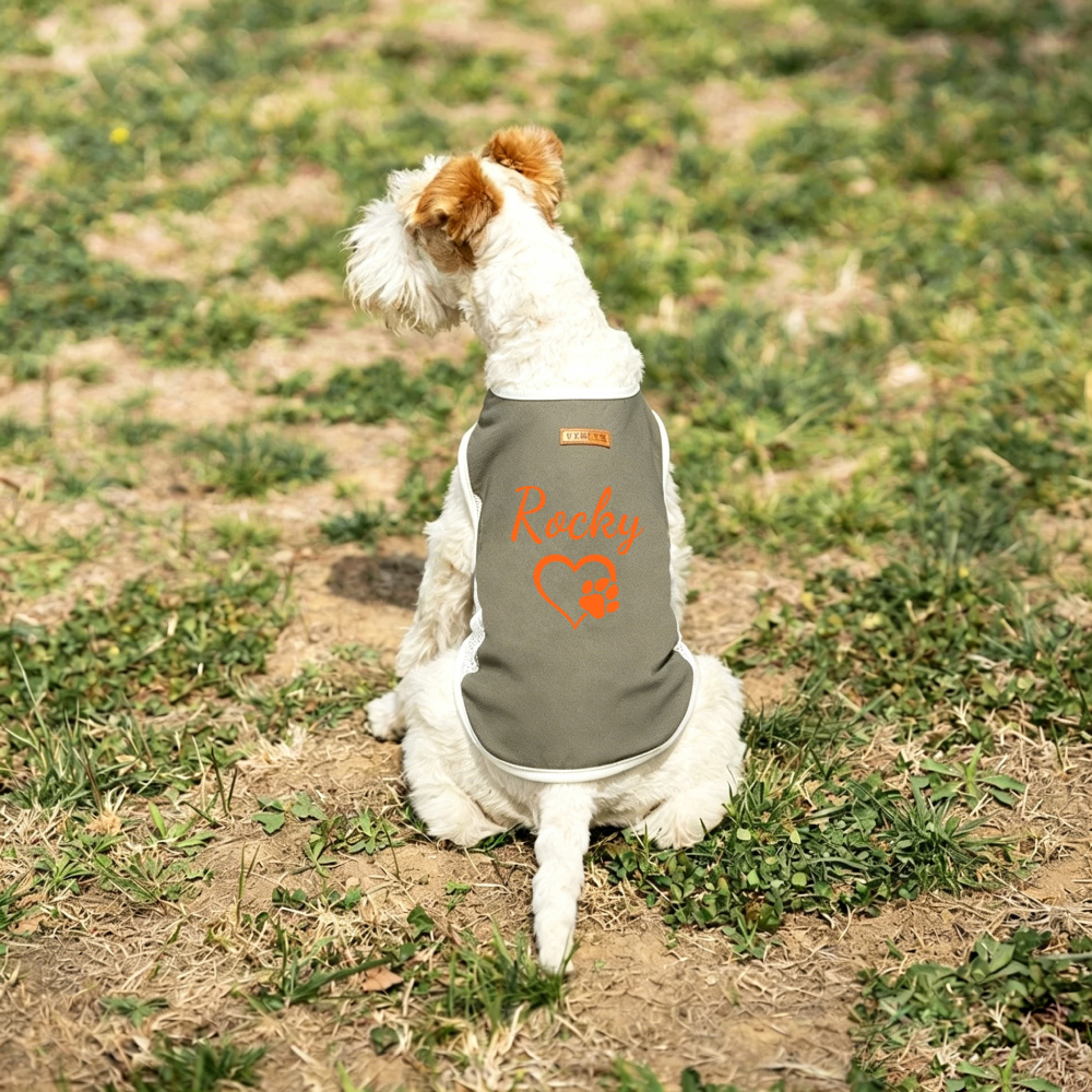 Personalized Summer Cooling Mesh Dog Vest | MNCloth223