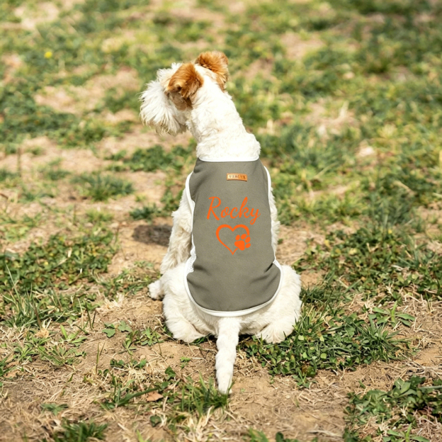 Personalized Summer Cooling Mesh Dog Vest | MNCloth223