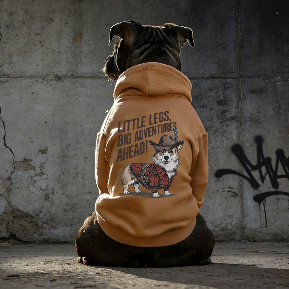 LITTLE LEGS BIG ADVENTURES AHEAD Puppy Hoodie | BKPet341